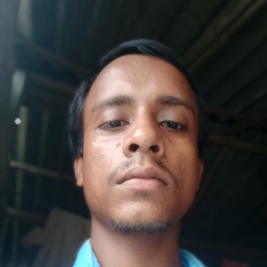 Sujauddin Molla-Freelancer in Garabad,India