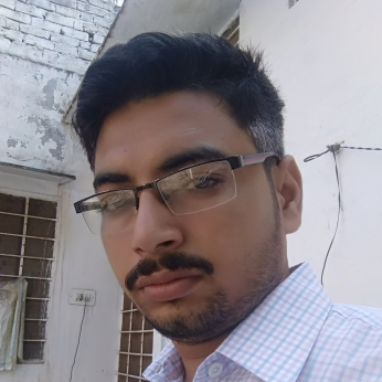 Dilkush Meena-Freelancer in Jaipur,India