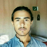 Muzamil Bashir-Freelancer in Taunsa,Pakistan