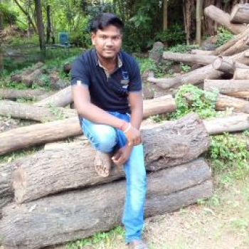 Mrityunjoy Mallik-Freelancer in ,India