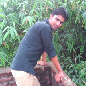 Praveen Mourya-Freelancer in Dehradun,India