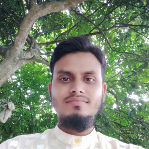 Eamin Ali-Freelancer in Sirajganj,Bangladesh