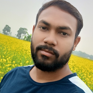 Pratap Mondal-Freelancer in Bagula,India