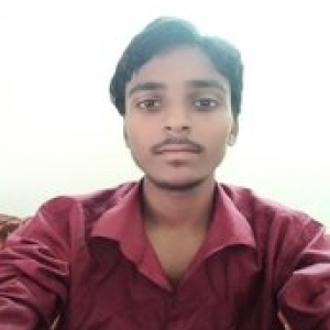 Amit Kumar-Freelancer in Noida,India