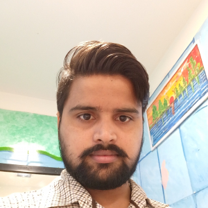 Alok Alok-Freelancer in Panipat,India