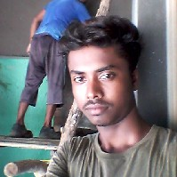 Harbilash Sen-Freelancer in Malkangiri,India