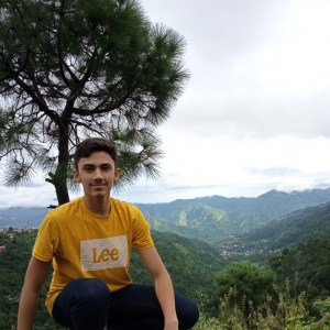 Shobhit Gulia-Freelancer in ,India