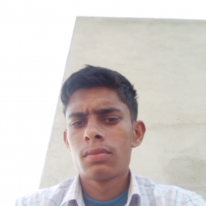 Bijender Kumar-Freelancer in Loharu,India