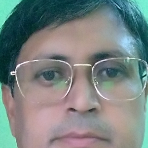 Satyaranjan Pal-Freelancer in ,India