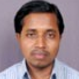Wasim Sayyed-Freelancer in NAGPUR,India