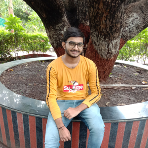 Sahil Gangani-Freelancer in Pungam,India