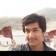 Anshu Mishra-Freelancer in ,India