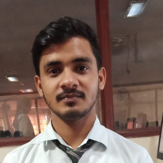 Mayank Mishra-Freelancer in ,India