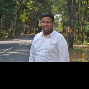 Vighnesh Pillalamarri-Freelancer in ,India