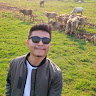 Jerrick Magh-Freelancer in Dimapur,India