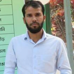 Uzzal Hossain-Freelancer in Mirpur,Bangladesh
