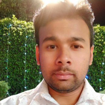 Rajendra Singh-Freelancer in ,India