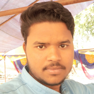 Saroj Meher-Freelancer in ,India