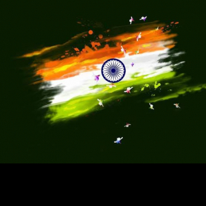 Rushikesh Thakare-Freelancer in ,India