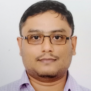 Harshil Mehta-Freelancer in ,India