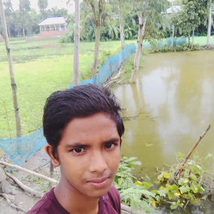 Sanjid Hossain-Freelancer in Sirajganj,Bangladesh