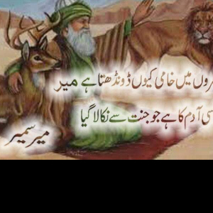 Rameez Raja-Freelancer in J&k,India