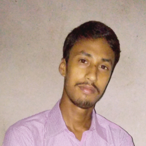 Sudipta Halder-Freelancer in Kolkata,India