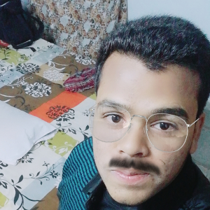 Shaik Akbar-Freelancer in ,India