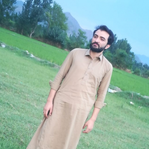 Abdullah Shahh-Freelancer in ,Pakistan
