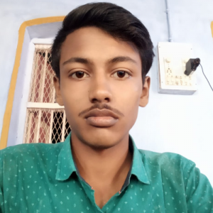 MOHIT GUPTA-Freelancer in Bhagalpur,India