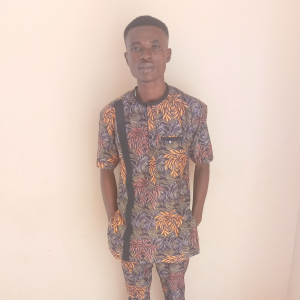 Chidiebere Augustine-Freelancer in Lagos,Nigeria