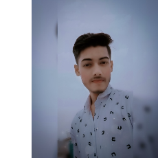 Bilal Ahmad-Freelancer in Lakhimpur-Kheri,India