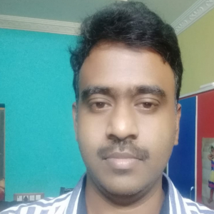 Ramesh Nadipudi-Freelancer in ,India