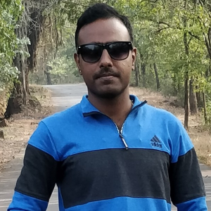 Nilesh Choudhary-Freelancer in Pune,India
