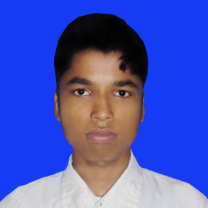 Md Rabiul Islam-Freelancer in Haragach,Bangladesh