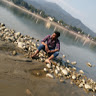 Sumedh Kumar-Freelancer in Bettiah,India