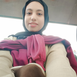 Nermeen M Ahmoud-Freelancer in Cairo,Egypt