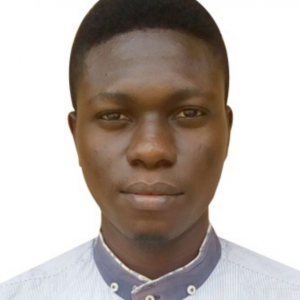 Sunday Akinwotu-Freelancer in Lagos,Nigeria