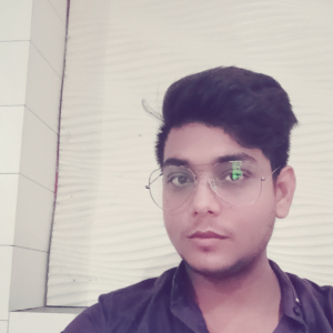 Abhishek Kumar-Freelancer in Delhi,India