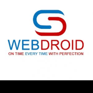 Webdroid Solution-Freelancer in Prayagraj,India