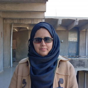 Mahnoor Mahnoor-Freelancer in Rawalpindi,Pakistan
