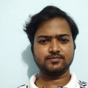Subhajit Bera-Freelancer in ,India