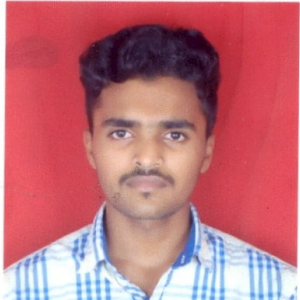 Pavan Kumar-Freelancer in ,India