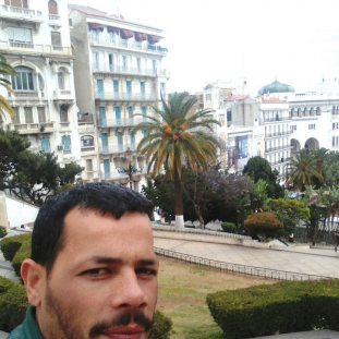 Harezli Drisse-Freelancer in ,Algeria