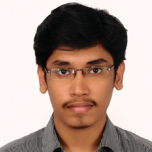 Naveenkumar Mahadevan-Freelancer in United States,India