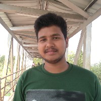 Biswajit Chatterjee-Freelancer in Bajesahil,India