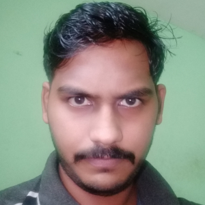 Naveen Kumar K.s-Freelancer in ,India