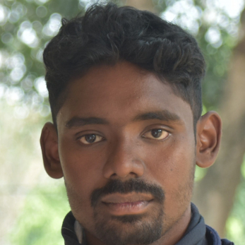 Satendra Paleya-Freelancer in Bhubaneshwar,India