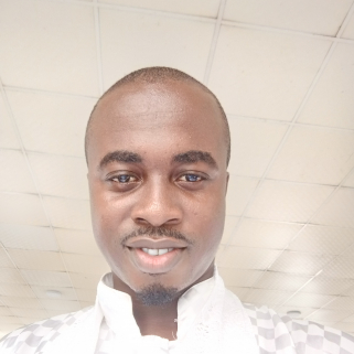 Olumide Akinlaja-Freelancer in Lagos,Nigeria