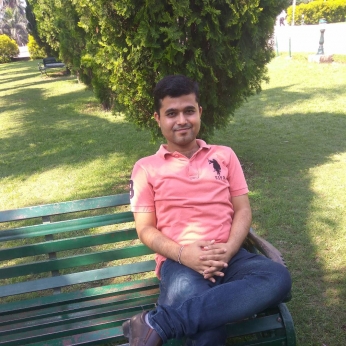 Vivek Thakur-Freelancer in Chandigarh,India